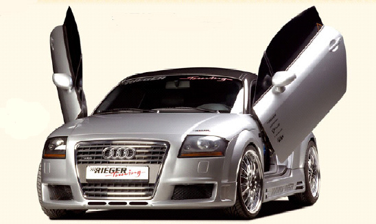 Rieger Audi TT R-Frame Bumper
