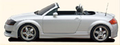 Rieger Audi TT Infinity Side Skirts